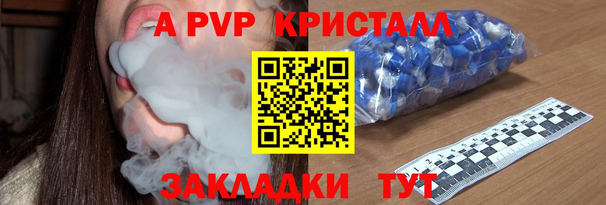A-PVP СК Горно-Алтайск